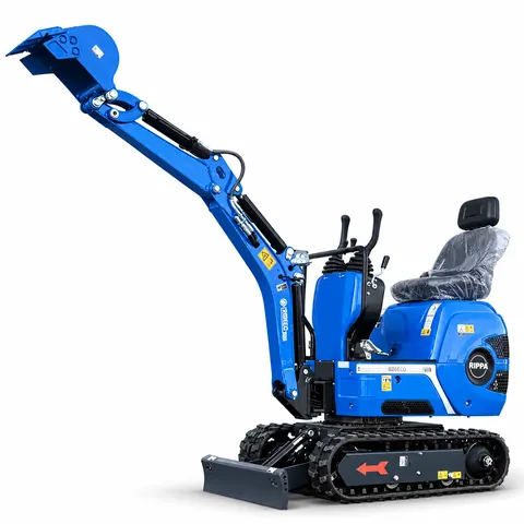 RIPPA R06